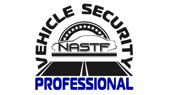 Elite Security Professional